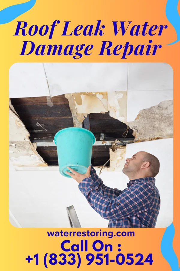 Roof Leak Water Damage Repair in Wyndham, VA