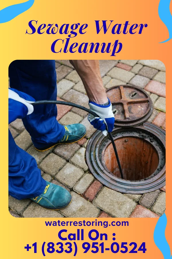 Sewage Water Cleanup in Wyndham, VA