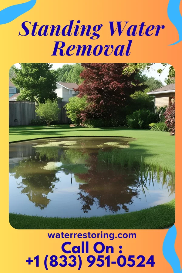 Standing Water Removal in Wyndham, VA